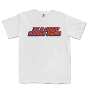 BE A GREAT HUMAN BEING | COMFORT COLORS® VINTAGE TEE